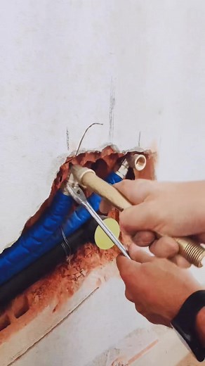 @alex__cardia su TikTok