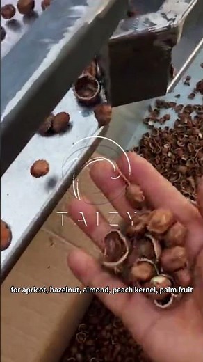 Almond Sheller Breaking Cracking | Hazelnut Shelling Machine