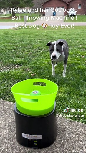 GoDogGo Ball Throwing Machine for Dogs