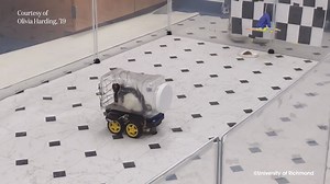 These rats have been taught to drive, and it helps them to relax. Find out why here: https://bit.ly/2Jetibu CREDIT: University of Richmond | IFLScience