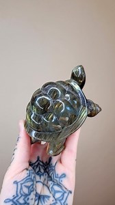 11 reactions | Labradorite turtle magic  Turtles are symbols of...