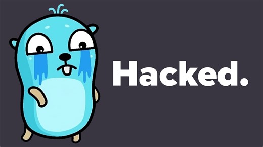 【双语 纯享】💥震惊代码界！Go语言模块居然成了硬盘杀手！