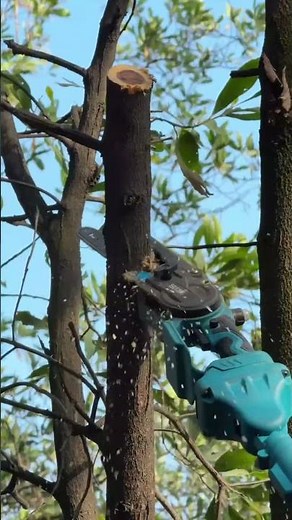 Mini chainsaw + asta CZ 2 Realizzato con Clipchamp