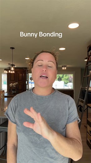 7.2K views · 80 reactions | Your bunny getting hurt was never your...