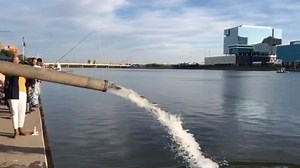 45K views · 267 reactions | 3, 2, 1...! 2,800 rainbow trout were released into Tempe Town Lake yesterday with the help of Tempe Mayor Mark Mitchell and Jackson, a little boy who got to release the first few fish! Video: City of Tempe | ABC15 Arizona | Facebook