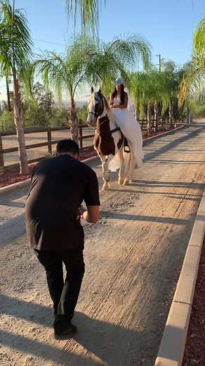Mexican Wedding Dress Photoshoot with a Beautiful Horse