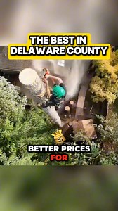 3.3K views · 74 reactions | Hey guys! My name is Tyler, and I own...