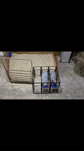 Weaver Livestock on Instagram: "Feed with ease with the Stall Feeder! ✨ An ideal solution for feeding your show string separately, the complete kit includes 2 stalls with the ability to add the 3-sided addition to expand further! Use the link in bio to order yours today!"