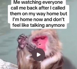 6.6K views · 68 reactions | ACCURATE | Olivia Worldwide | Facebook