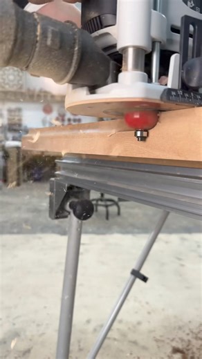 Clean cutting Diablo 1/2” radius cove bit #diablotoolsambassador #woodworking | The Dusty Lumber Co.