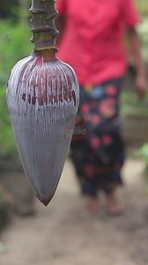 638K views · 11K reactions | බත් මුට්ටියම ඉවර කරන්න පුලුවන් කෙසෙල් මුව සම්බෝලයක් | Special Banana Blossom Sambol #foodie #food #BananaBlossom #eating #cookery | Kussiya - Cuisine of sri lanka | Facebook