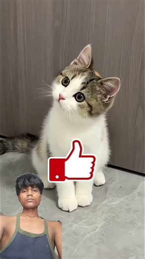 Agar.\nTumhen iss jungle per waise Markin.Dekhein toh dhyan se gaadi cha🥰