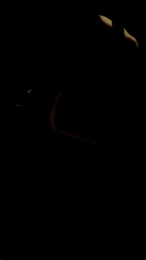 28 de febrero de 2026