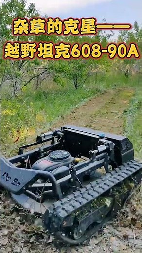 Remote Control Remote Control Lawn Mower Garden Machinery Agriculture Modern Machinery