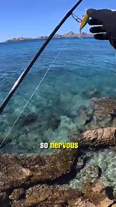 9K views · 113 reactions | The difference between salt water and fresh water fishing | Cavy Fishing | Facebook