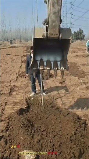 🌱⚙️ Transplanting by skilled excavator digging for tree