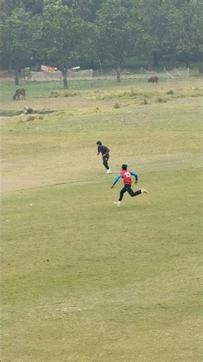 What a classic shot , #masterclass #batsman #cricket #shortvideo #shorts #fastbowling
