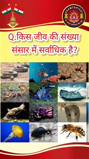 किस जीव की संख्या संसार में सर्वाधिक है? #gk #shorts