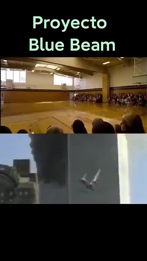 594K views · 8.2K reactions | #Alienmisterios | Alien Misterios | Facebook