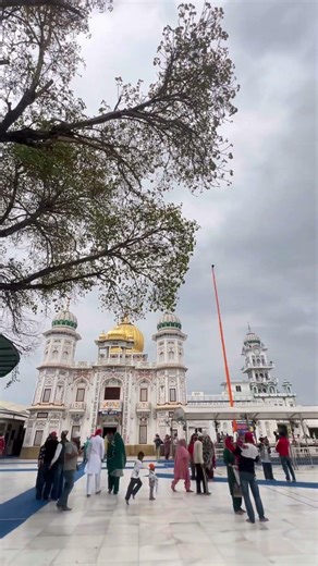 Tere dar te aaya 🙏🏻🙏🏻 bhulla baksho meriya🌸🌺🙏🏻#jai raje di