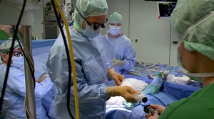 Synergizing Antegrade Endoscopic with Bridging Vein Harvesting for Improvement of Great Saphenous Vein Graft Quality from the Lower Leg