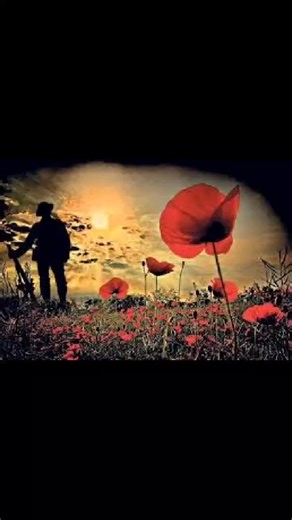 Paul Swinton (@paul_swinton)’s videos with Last Post - The Central Band of the Royal British Legion