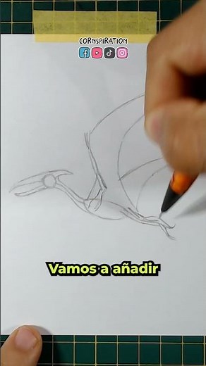 How to Draw a Pterodactyl (Step by Step)