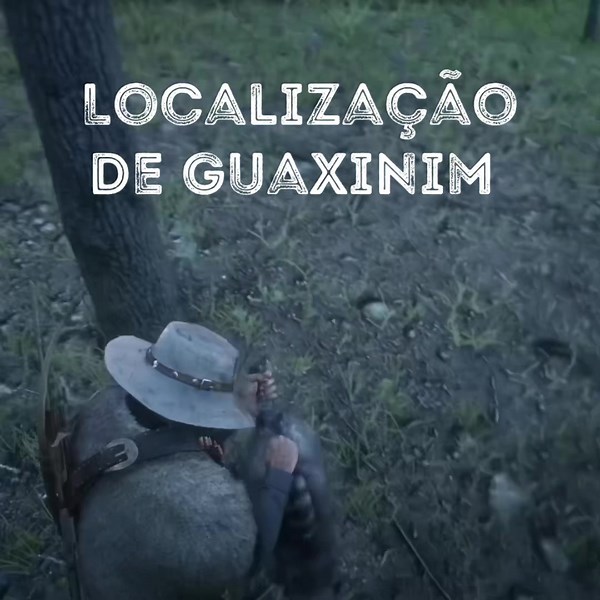 Localização do Guaxinim em Red Dead Redemption 2
