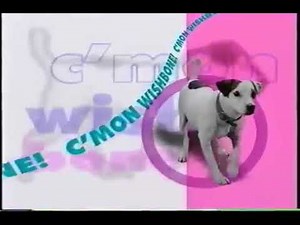 Wishbone theme song from the hit tv show