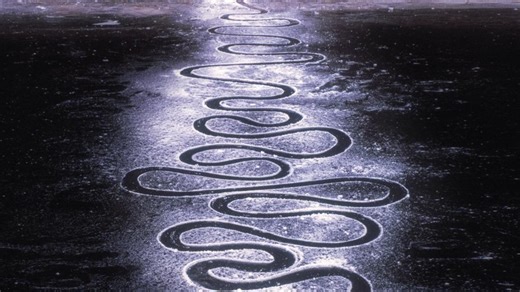 Rivers and Tides: Andy Goldsworthy Working With Time