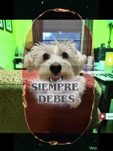 Sometimes we forget this… until Perla reminds us.