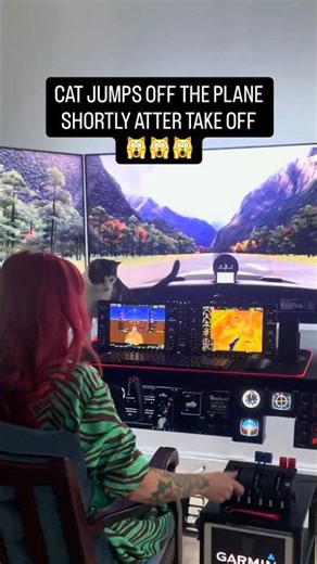 🙀CAT JUMPS OFF THE PLANE AFTER TAKE OFF #aviation #simulator #cat #redhead #plane #flight #garmin