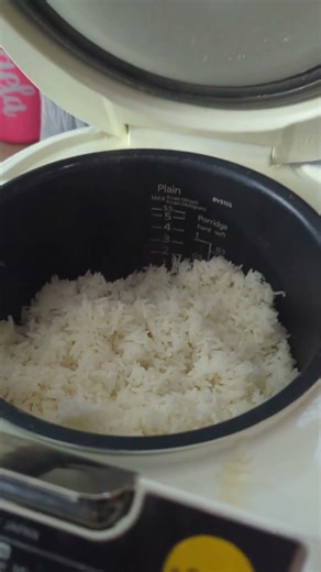 Honest Review on 10 Cups Tiger Rice Cooker