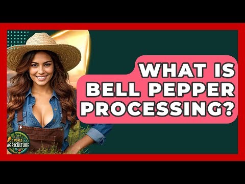What Is Bell Pepper Processing? - The World of Agriculture