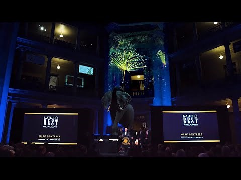 Epson Laser Projectors | Projection Mapping at Nature's Best Awards Gala