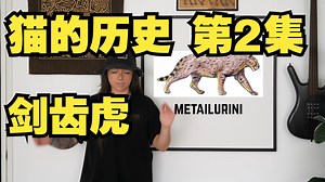 猫的历史 第2集 剑齿虎 The Sabertooth Cats (That We Know Of) _ History of Cats Episode 2