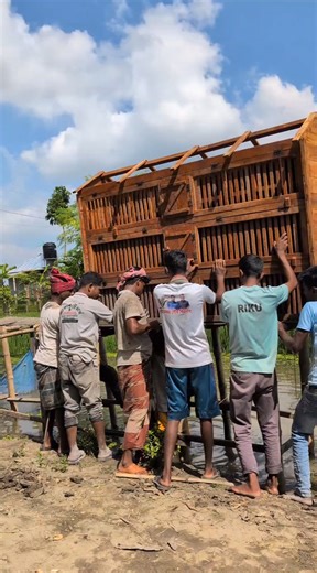 166K views · 1.5K reactions | Loft Arrangement & New Roller Pigeons Entry | Sami Loft & FarmHouse | Facebook