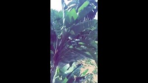 231K views · 79 shares | Some snaps from my Spain and Turkey tour! <3 Add me on Snapchat: @innaofficial | INNA | Facebook