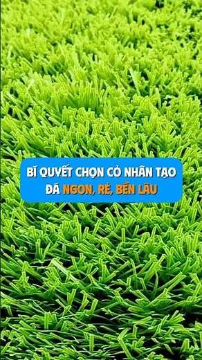 Bí quyết chọn loại cỏ nhân tạo đá ngon, rẻ, bền lâu mà người bán không muốn bạn biết #conhantao