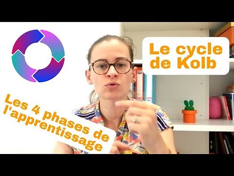 Le cycle de l'apprentissage