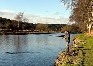 VIDEO: Watch as the River Don is opened for the fishing season... And the first fish is caught!