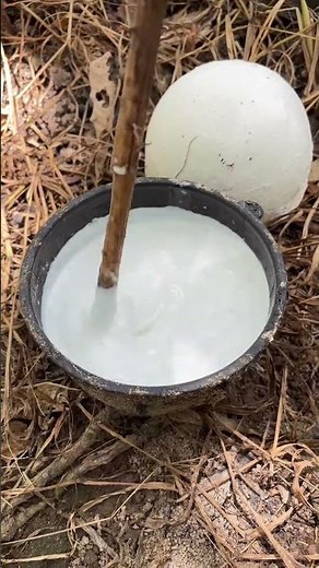 Mission to make cup lumps of rubber #rubber #cup lump rubber #dropping rubber acid #rubber