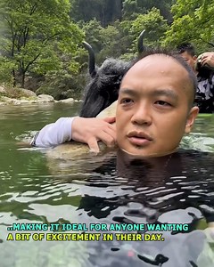 307K views · 986 reactions | Underwater Adventures Nature’s Playground #nature #swim | Brahmastra | Facebook