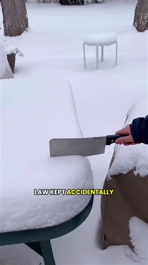 Part1, My mother in law kept accidentally triggering my food allergies, So l accidentally turned her into a vegetable.#storytime #familydrama #storytelling #fypシ゚viral