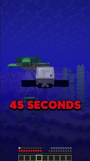 THE HİDDEN FEATURE OF TURTLES İN MİNECRAFT! ⛏💎