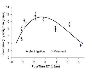 Salts In Greenhouse Crops: Don’t Get Burned