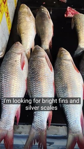 1.0K complete, #fishfry ,#fishfries ,#fishcurry #fish_fryry