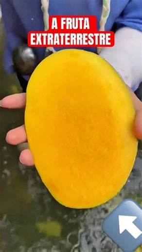 DOES SEEDLESS MANGO REALLY EXIST? 🥭