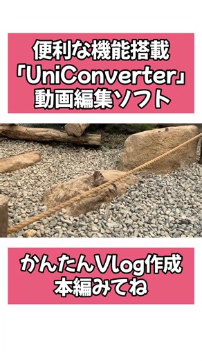 動画を一括変換＆補正！動画編集ソフトのココがスゴイ！#UniConverter #動画編集 #uniconverter