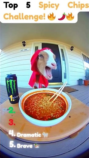 Top 5 Animals That Regretted Eating Spicy Chips! 🌶️🤣 #funnyanimals #viralshorts